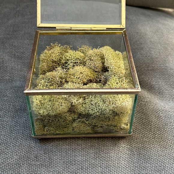 Ring Box - Picture 4 of 4